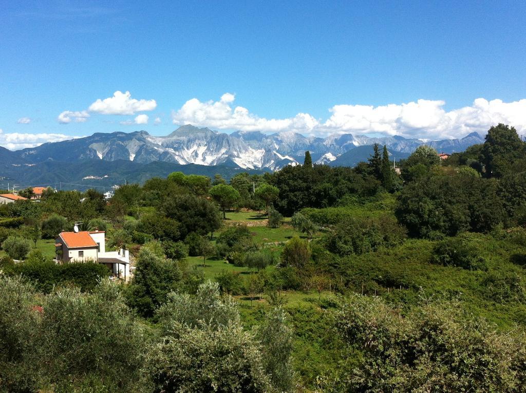 B&B Le Palme Ameglia Εξωτερικό φωτογραφία