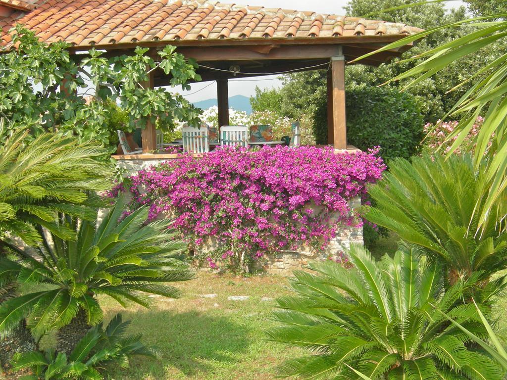 B&B Le Palme Ameglia Εξωτερικό φωτογραφία