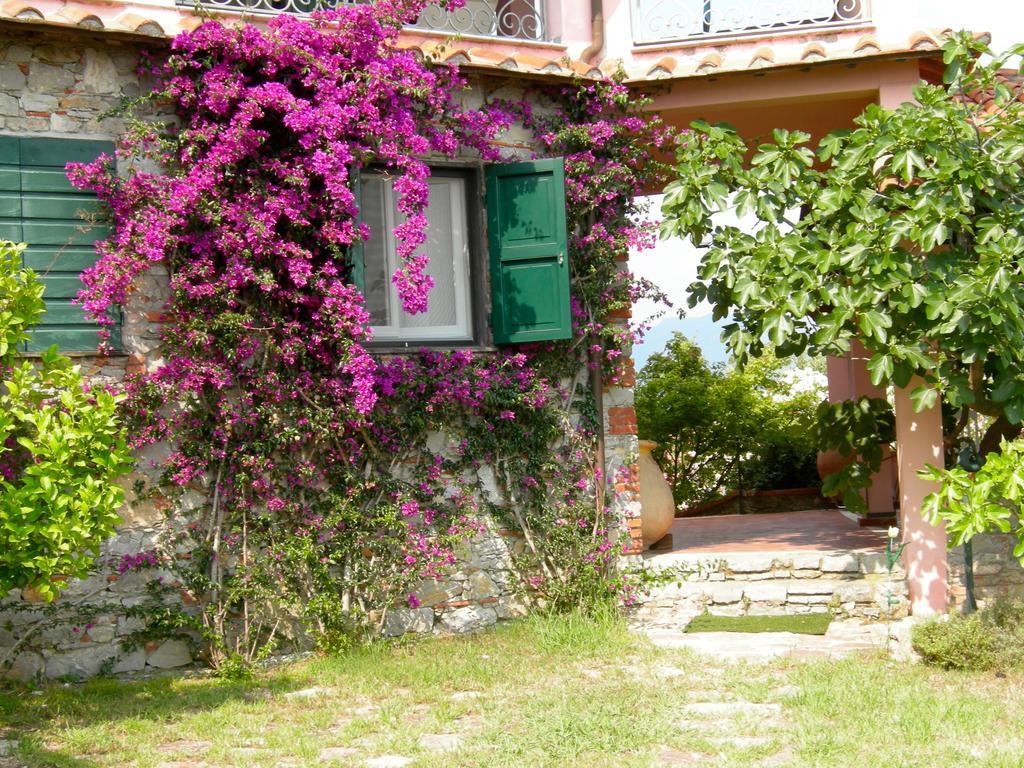 B&B Le Palme Ameglia Εξωτερικό φωτογραφία