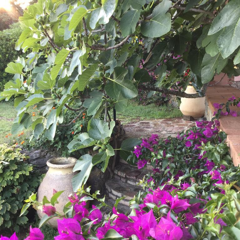 B&B Le Palme Ameglia Εξωτερικό φωτογραφία